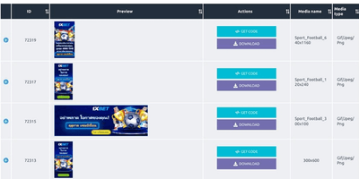 Affiliate Program